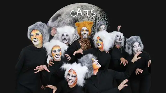 cats