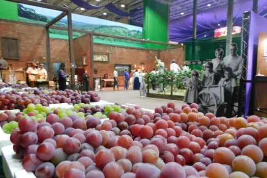 Circuito das Frutas abre temporada de festas no interior de São Paulo