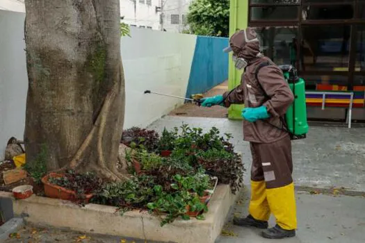 Prefeitura inicia amplo serviço de controle de pragas nas escolas de São Caetano