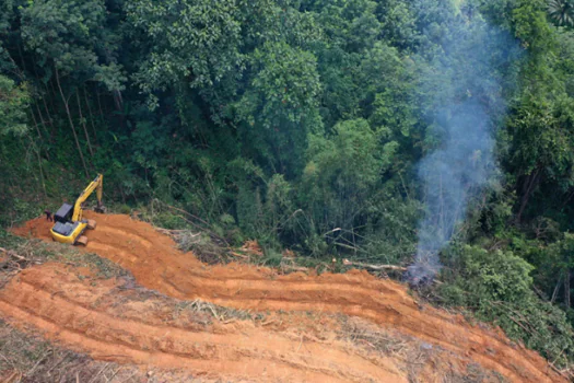 Desmatamento cai pela metade na amazônia e sobe 43% no cerrado em 2023