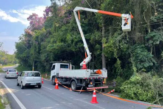 Ribeirão Pires reivindica e Enel realiza poda de árvores para evitar interrupção de distribuição de energia