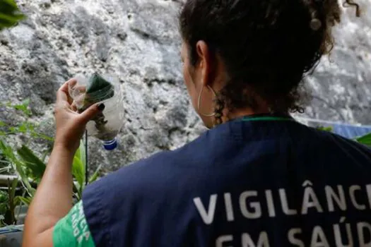 SP: Saúde realiza live sobre ações de combate à dengue nesta quarta-feira (21)