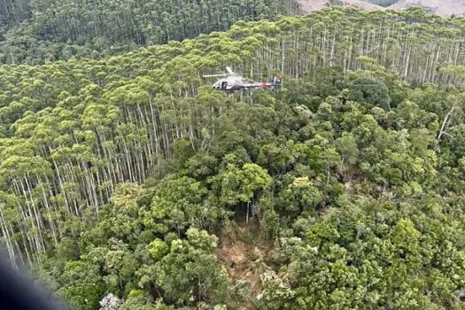 Helicóptero que caiu em viagem para Ilhabela bateu em vegetação durante o voo, diz Cenipa