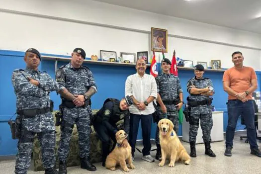 GCM de Ribeirão Pires recebe doação de novos cachorros para integrar equipe do CANIL 