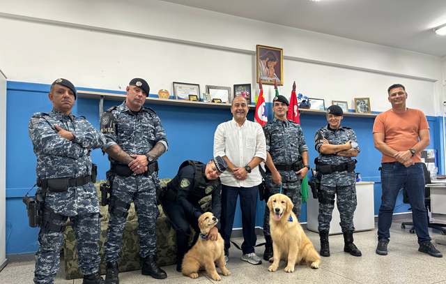 GCM de Ribeirão Pires recebe doação de novos cachorros para integrar equipe do CANIL 
