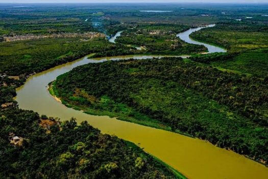 Pantanal deve ter cheias abaixo da média em 2024 e cenário é de alerta