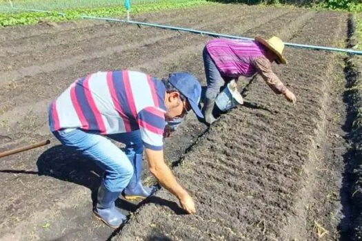 Programas da Secretaria de Agricultura de SP incentivam a agricultura familiar