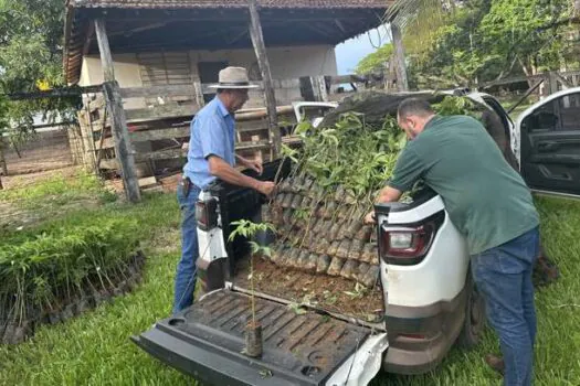 Agro+Verde planta 30 mil mudas no Triângulo Mineiro