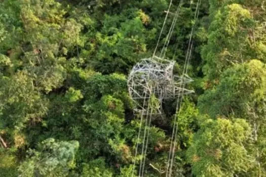 Queda de árvores sobre torre de energia deixa quase 15 mil sem luz em Cajamar