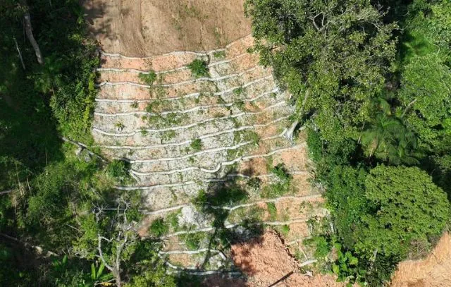 recuperacao-ambiental-sao-sebastiao