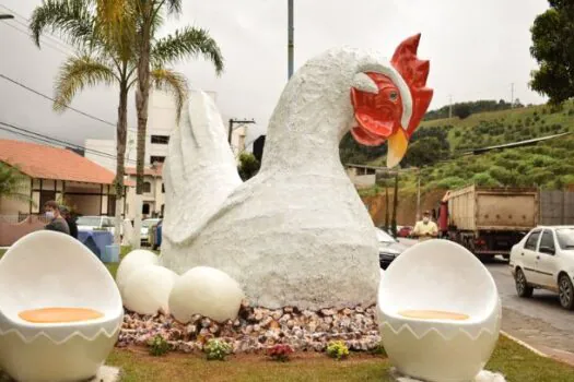 Como cidade que tem galinha gigante virou a capital do ovo no Brasil