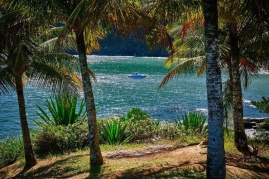 Temporada de verão gera alta procura por destinos litorâneos de SP