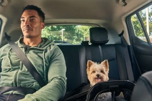 Paulistas e cariocas já podem transportar bichinhos com o Uber Pet