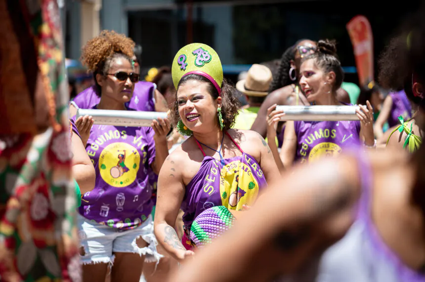 Galeria de Fotos | Carnaval de Santo André — Mulheres do ABC