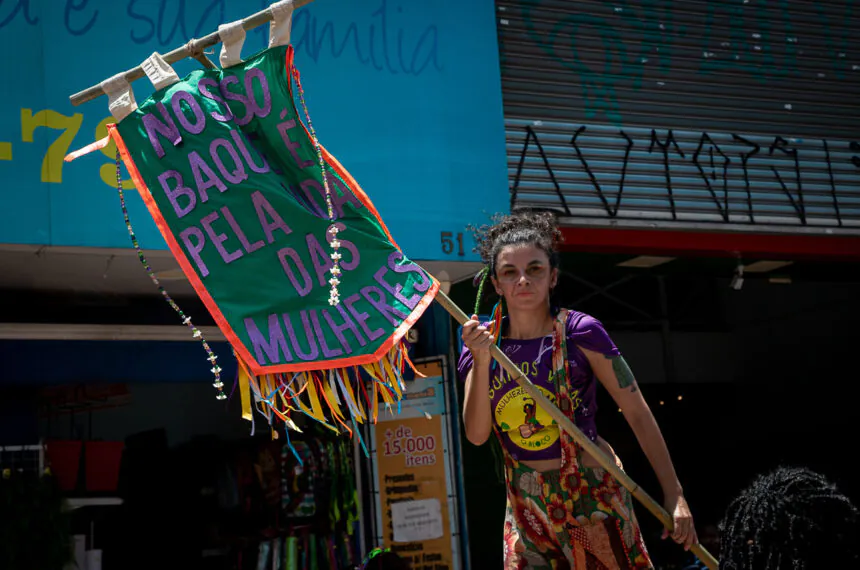 Galeria de Fotos | Carnaval de Santo André — Mulheres do ABC