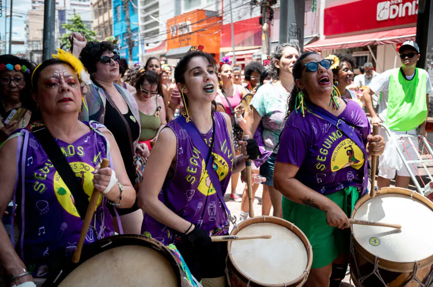 Galeria de Fotos | Carnaval de Santo André — Mulheres do ABC