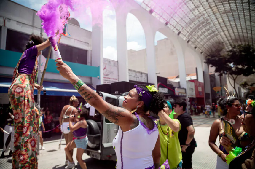 Galeria de Fotos | Carnaval de Santo André — Mulheres do ABC