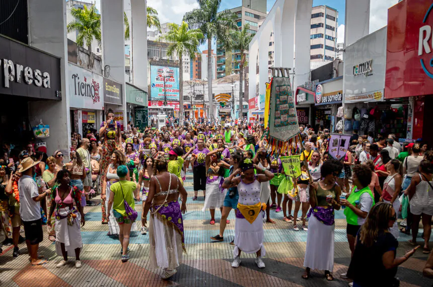 Galeria de Fotos | Carnaval de Santo André — Mulheres do ABC