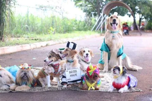 Carnaval dos municípios de SP tem desfile de marchinhas históricas e até bloco de pets