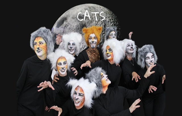 Emovere Estúdio de Dança apresenta espetáculo Cats no Teatro Gamaro