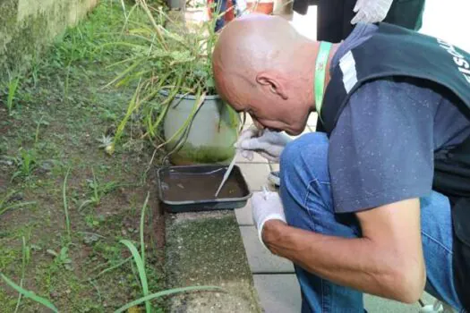 Dengue mantém tendência de queda em 24 estados e no Distrito Federal