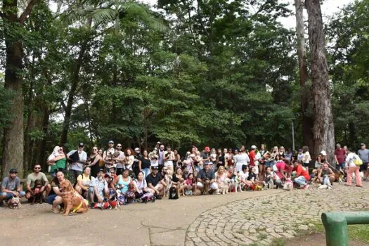 Blocão de Carnaval faz a festa com mais de 200 cães no Parque Celso Daniel