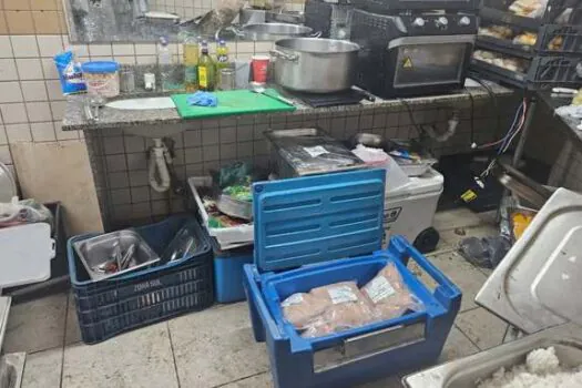 Camarote da Sapucaí é flagrado preparando alimentos no banheiro