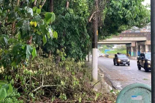 Ribeirão Pires registra pequenas ocorrências, sem vítimas, após forte chuva desta terça (20)