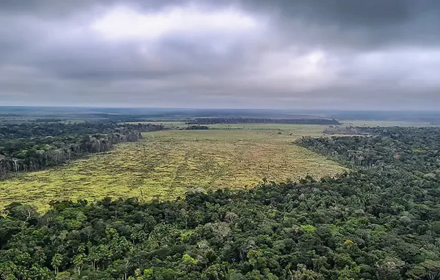 desmatamento-amazonia