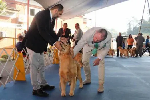 Ribeirão Pires terá exposição e competição de cães neste fim de semana