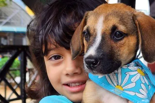 Feira de Adoção em Ribeirão Pires celebra sucesso na colocação de 13 animais em novos lares