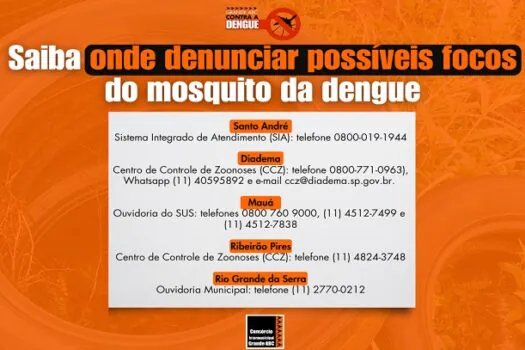 Saiba onde os moradores do Grande ABC podem denunciar possíveis focos do mosquito da dengue