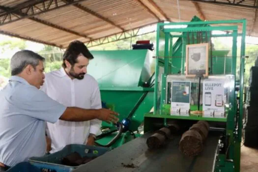 Governo de SP investe mais de R$ 7 milhões para impulsionar produção de mudas