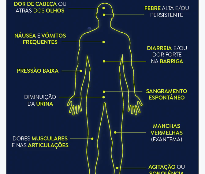 Estado do Rio de Janeiro decreta epidemia de dengue