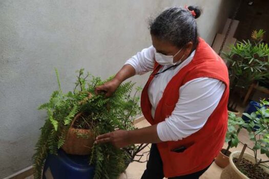 Mauá realiza uma série de ações preventivas contra dengue