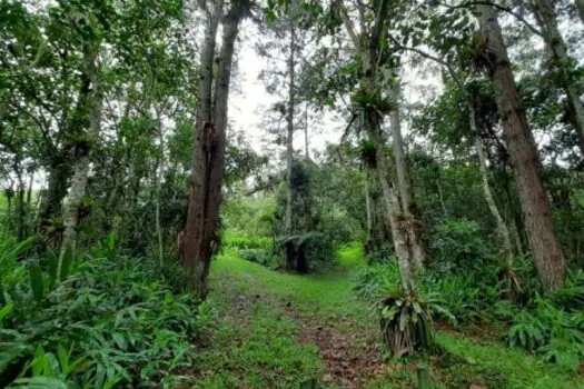 Governo de SP aprova repasse de R$ 24 milhões para proteção e conservação ambiental