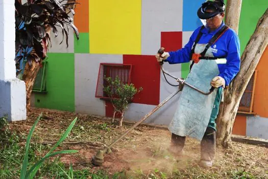 Diadema promove segundo Mutirão de Limpeza na região leste