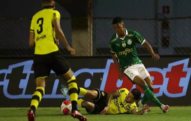 palmeiras-são-bernardo