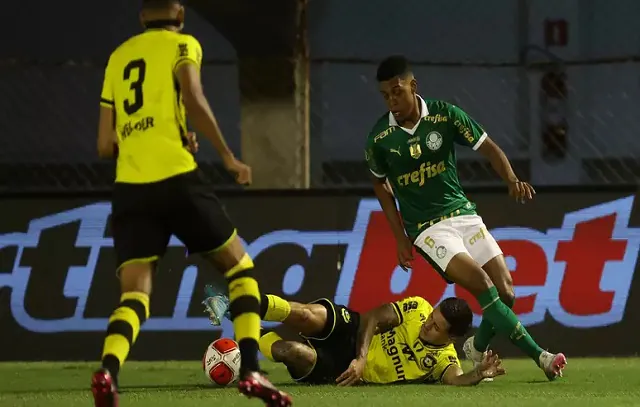 palmeiras-são-bernardo