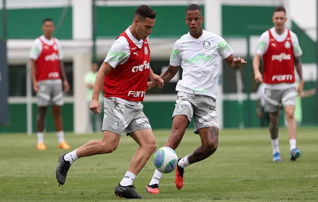 palmeiras-treino