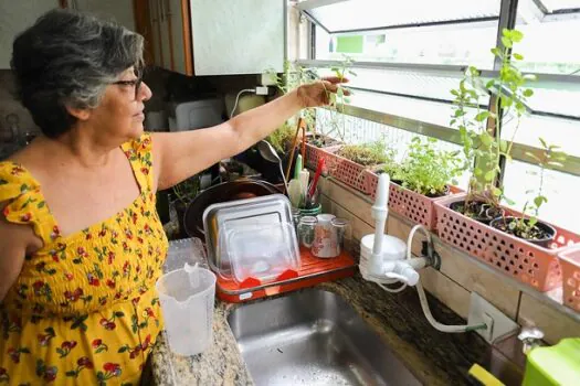 Projeto em Diadema incentiva hortas em residências