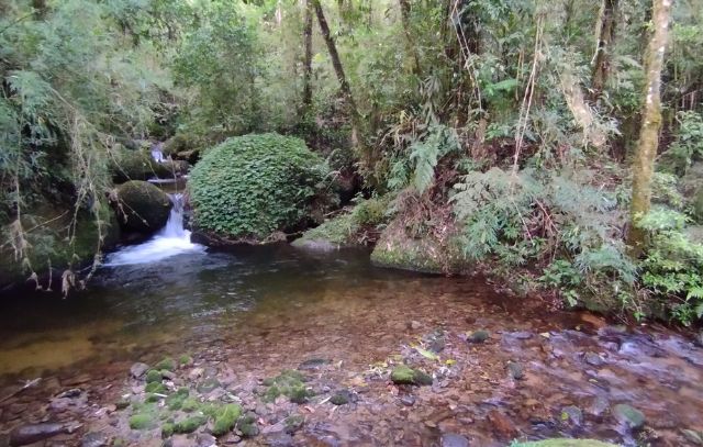 Serra da Mantiqueira