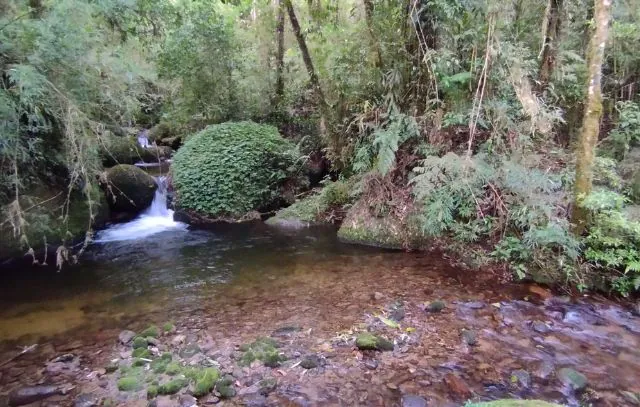 Serra da Mantiqueira