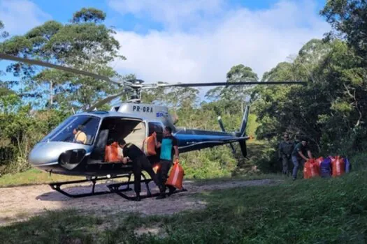 Lançadas de helicópteros, sementes de palmeira-juçara repovoaram 1205 hectares nos últimos três anos