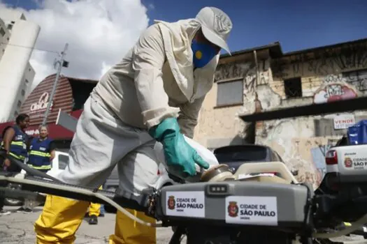 Cidade de São Paulo decreta emergência em saúde por dengue