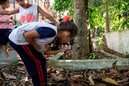 Diadema mobiliza toda cidade contra a dengue