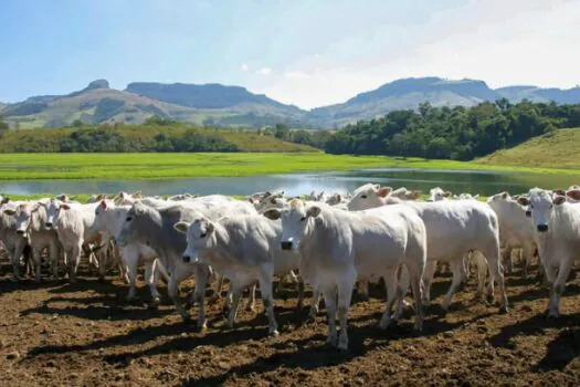 IZ lança Sumário de Touros e Matrizes Nelore e Participa da 17ª Expogenética