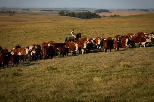 Agropecuária cresce 15,1% e bate recorde no PIB em 2023