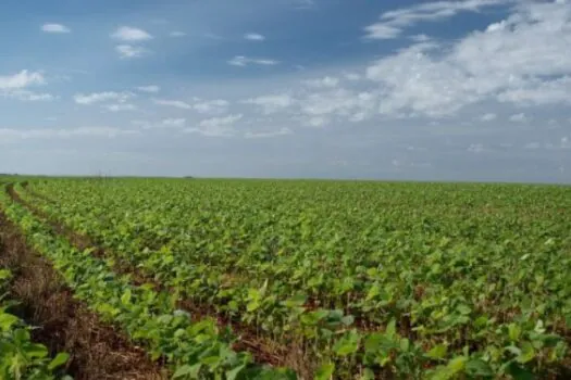 Estrangeiros controlam no Brasil área equivalente a um Alagoas inteiro