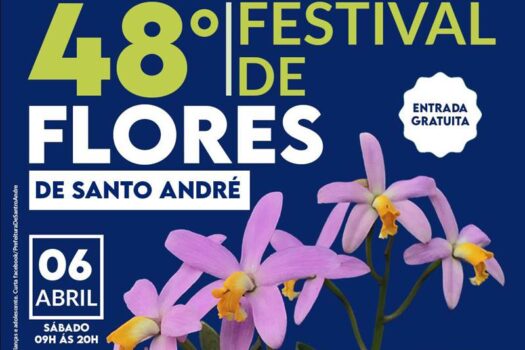 festiva-flores